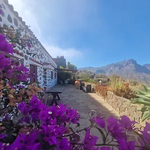 https://finca-la-isa.in-canary-islands.com
